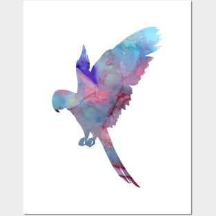 Parrot Posters and Art